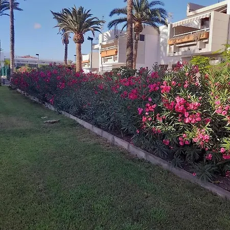 Primavera Olga With Free Wifi